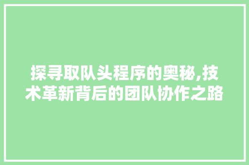 探寻取队头程序的奥秘,技术革新背后的团队协作之路 探寻取队头程序的奥秘,技术革新背后的团队协作之路 必应SEO