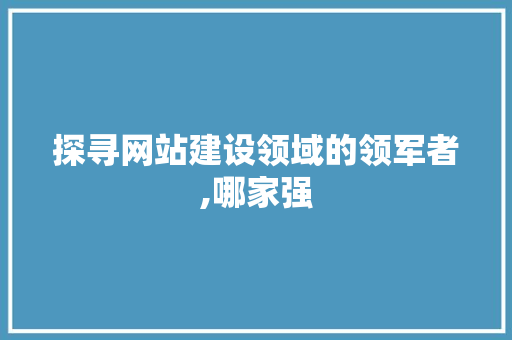 探寻网站建设领域的领军者,哪家强 探寻网站建设领域的领军者,哪家强 SEO关键词