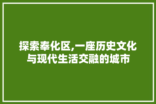 探索奉化区,一座历史文化与现代生活交融的城市