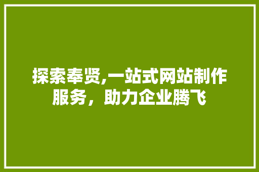 探索奉贤,一站式网站制作服务，助力企业腾飞