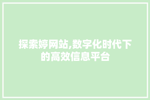 探索婷网站,数字化时代下的高效信息平台