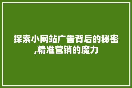 探索小网站广告背后的秘密,精准营销的魔力