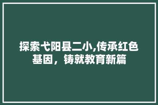 探索弋阳县二小,传承红色基因，铸就教育新篇
