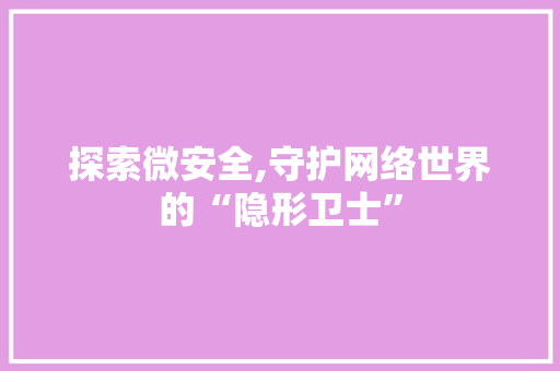 探索微安全,守护网络世界的“隐形卫士”