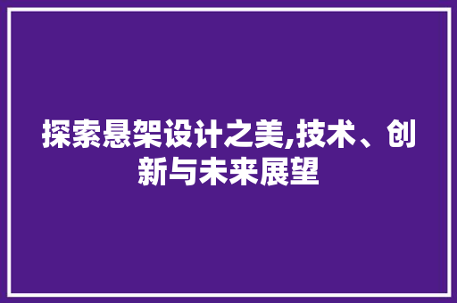 探索悬架设计之美,技术、创新与未来展望