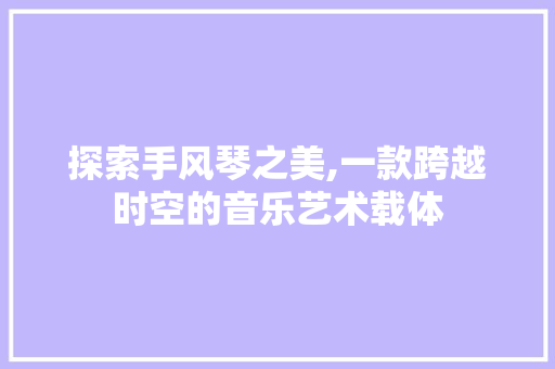 探索手风琴之美,一款跨越时空的音乐艺术载体