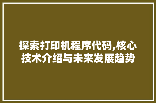 探索打印机程序代码,核心技术介绍与未来发展趋势