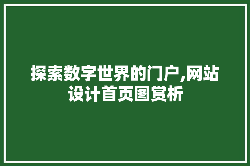 探索数字世界的门户,网站设计首页图赏析