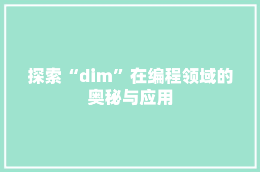 探索“dim”在编程领域的奥秘与应用