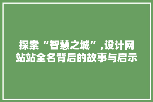 探索“智慧之城”,设计网站站全名背后的故事与启示