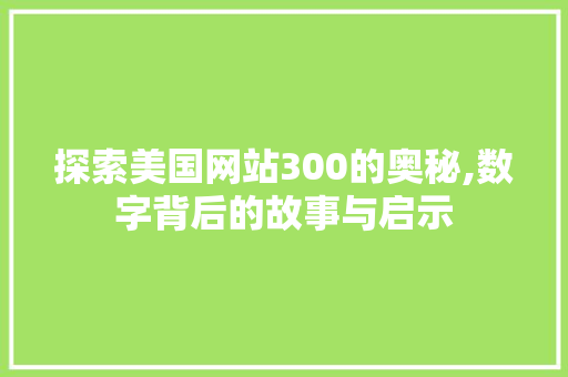 探索美国网站300的奥秘,数字背后的故事与启示