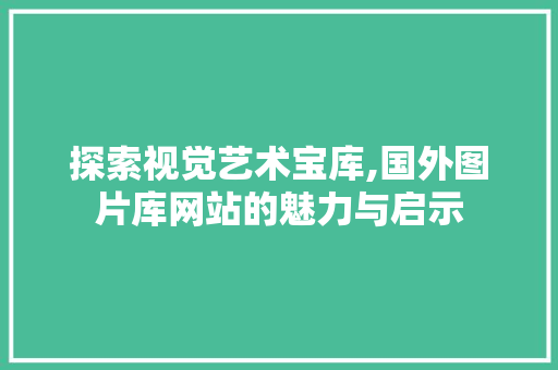 探索视觉艺术宝库,国外图片库网站的魅力与启示