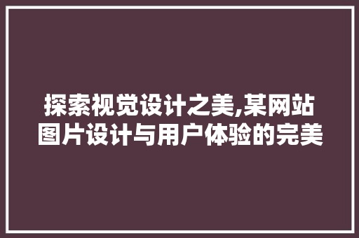 探索视觉设计之美,某网站图片设计与用户体验的完美融合
