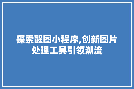 探索醒图小程序,创新图片处理工具引领潮流