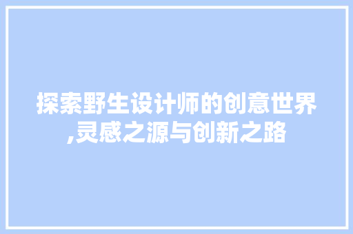 探索野生设计师的创意世界,灵感之源与创新之路