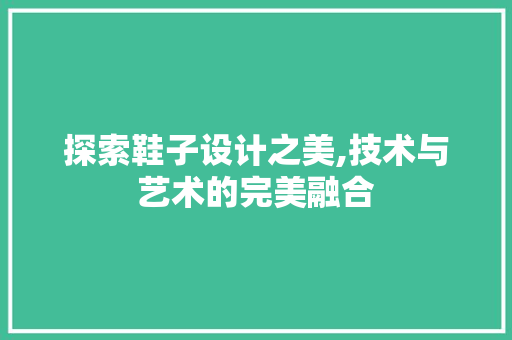 探索鞋子设计之美,技术与艺术的完美融合