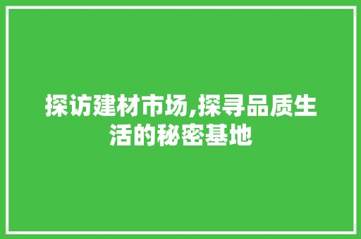 探访建材市场,探寻品质生活的秘密基地
