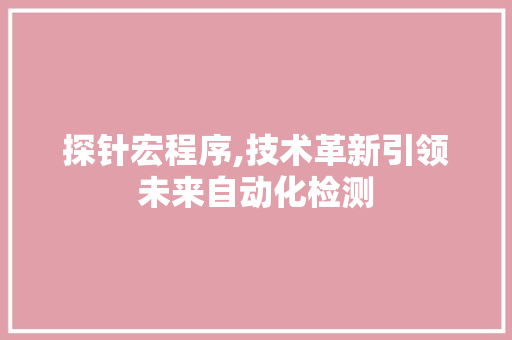 探针宏程序,技术革新引领未来自动化检测