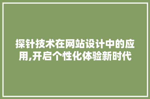 探针技术在网站设计中的应用,开启个性化体验新时代