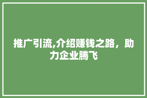 推广引流,介绍赚钱之路，助力企业腾飞