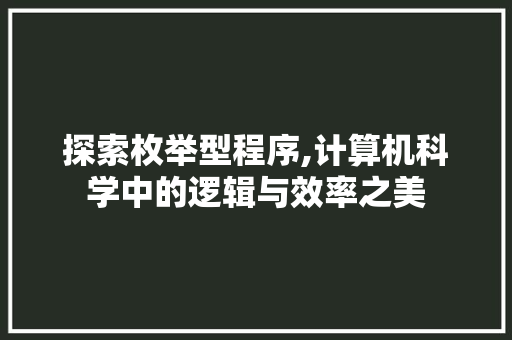 探索枚举型程序,计算机科学中的逻辑与效率之美
