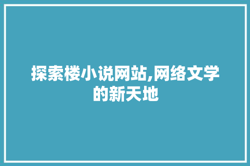 探索楼小说网站,网络文学的新天地