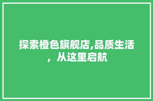 探索橙色旗舰店,品质生活，从这里启航