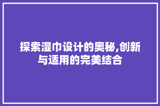 探索湿巾设计的奥秘,创新与适用的完美结合