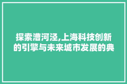 探索漕河泾,上海科技创新的引擎与未来城市发展的典范