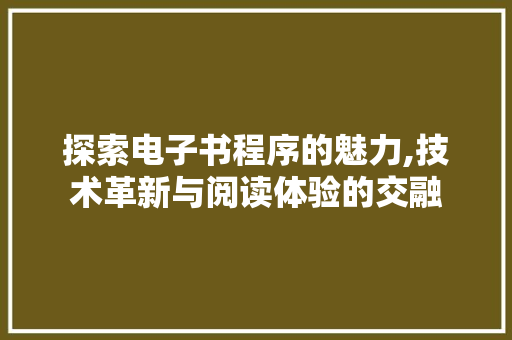 探索电子书程序的魅力,技术革新与阅读体验的交融