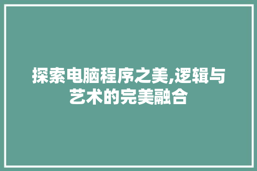 探索电脑程序之美,逻辑与艺术的完美融合 探索电脑程序之美,逻辑与艺术的完美融合 搜狗SEO