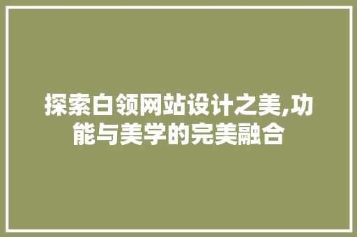 探索白领网站设计之美,功能与美学的完美融合