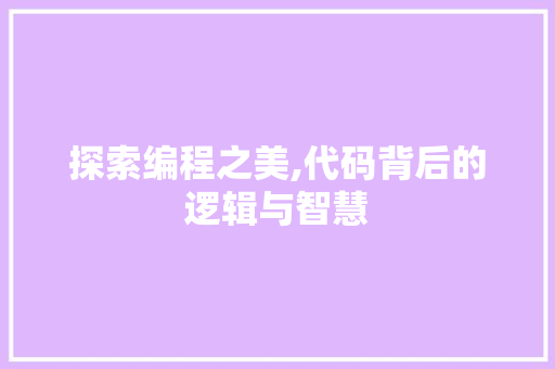 探索编程之美,代码背后的逻辑与智慧