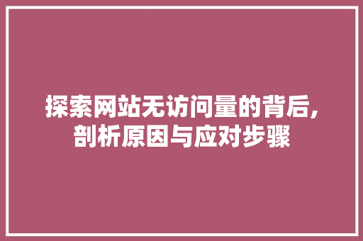 探索网站无访问量的背后,剖析原因与应对步骤