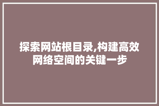 探索网站根目录,构建高效网络空间的关键一步