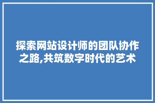 探索网站设计师的团队协作之路,共筑数字时代的艺术殿堂