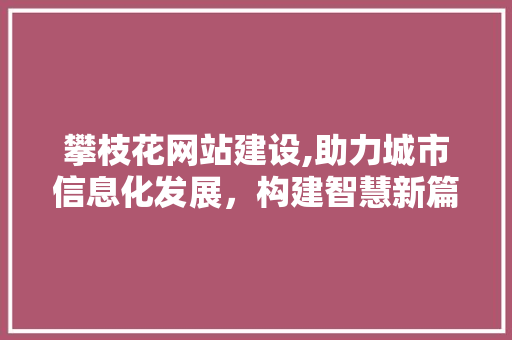 攀枝花网站建设,助力城市信息化发展，构建智慧新篇章