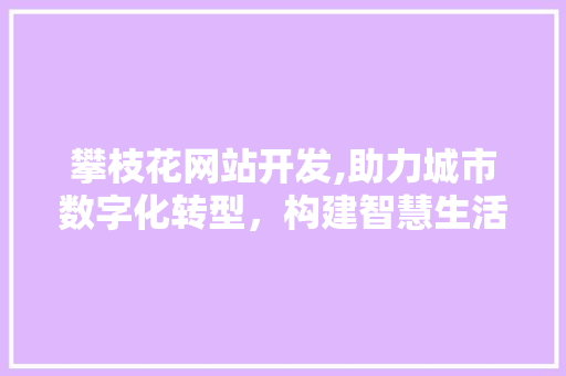 攀枝花网站开发,助力城市数字化转型，构建智慧生活新篇章