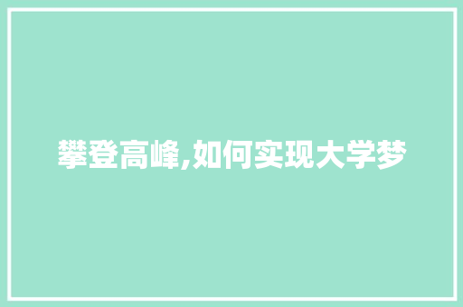 攀登高峰,如何实现大学梦