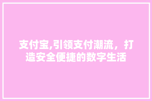 支付宝,引领支付潮流，打造安全便捷的数字生活