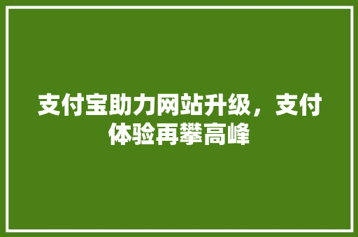 支付宝助力网站升级，支付体验再攀高峰
