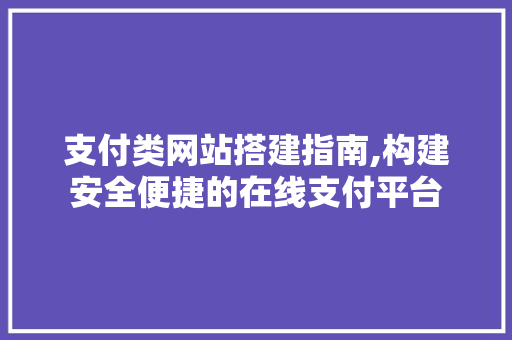 支付类网站搭建指南,构建安全便捷的在线支付平台