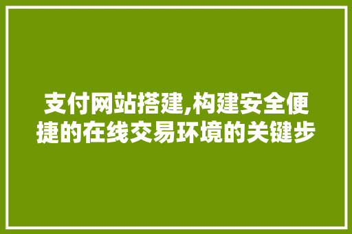 支付网站搭建,构建安全便捷的在线交易环境的关键步骤分析