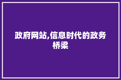 政府网站,信息时代的政务桥梁