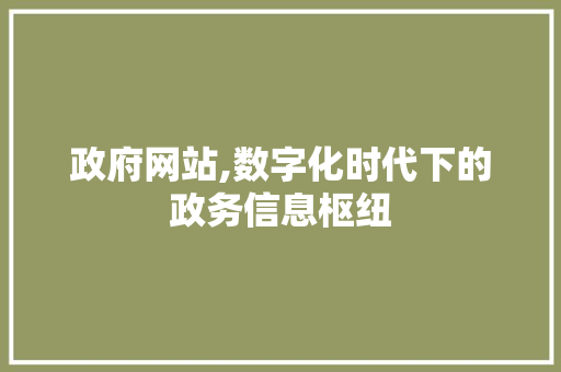 政府网站,数字化时代下的政务信息枢纽