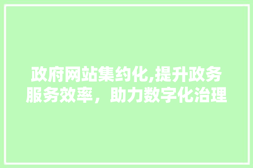 政府网站集约化,提升政务服务效率，助力数字化治理