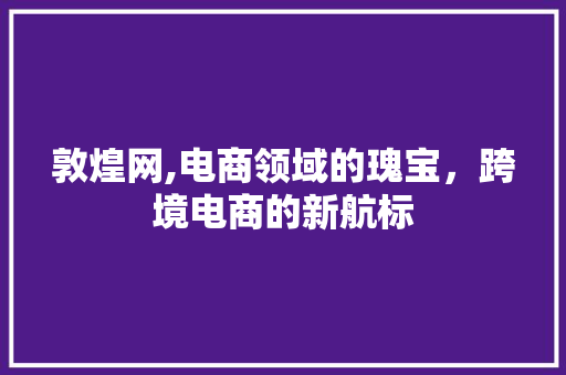 敦煌网,电商领域的瑰宝，跨境电商的新航标