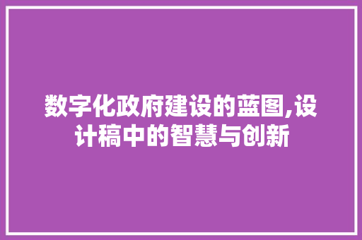 数字化政府建设的蓝图,设计稿中的智慧与创新