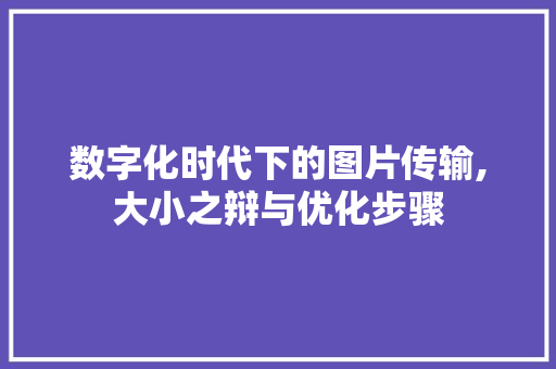 数字化时代下的图片传输,大小之辩与优化步骤