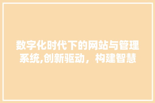 数字化时代下的网站与管理系统,创新驱动，构建智慧未来